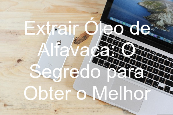 Extrair Óleo de Alfavaca: O Segredo para Obter o Melhor
