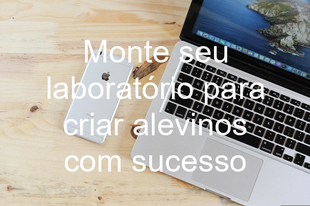 Monte seu laboratório para criar alevinos com sucesso