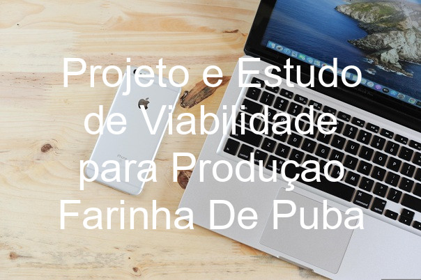 Projeto e Estudo de Viabilidade para Produçao Farinha De Puba